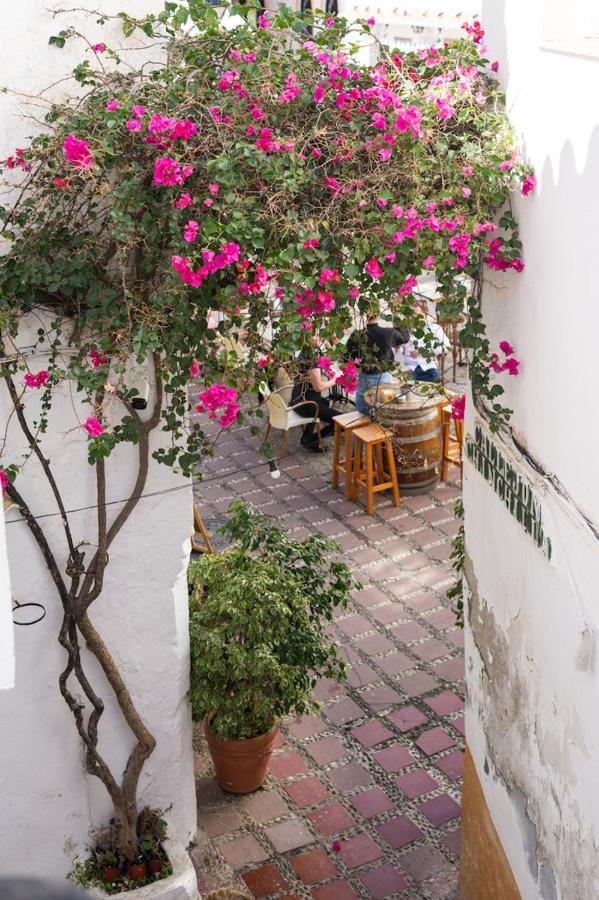 The Farm Lodge Marbella Dış mekan fotoğraf